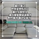 대신클리닝 | 울산소파청소 음식물 얼룩 냄 완전 제거!클리닝 후기 대공개