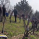 무궁화비료 이미지