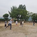 영지초등학교 이미지