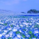 Someting blue like...the sky 💙 이미지