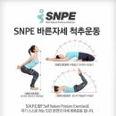 바른자세척추운동 이미지