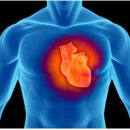 종로헬스 이미지