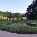 백학자연생태학습장 이미지