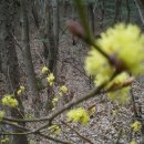 사마리안하우스 이미지