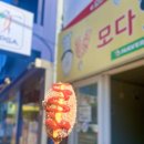 [대구 달서구 데이트] 성서 모다 핫도그, 강정보 바이크 대여 후기(Feat. 인생 노을)