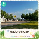 백마강생활체육공원 축구장 | 부여 가족 피크닉 장소 추천, 백마강생활체육공원에서 즐긴 봄나들이