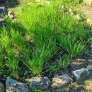 산내음황토펜션 이미지