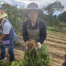 산마을 농장 이미지