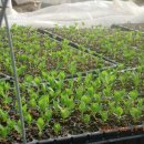 주)으뜸 이미지