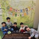 🌌 5월3주 우주반(🌱쌈채소 수확 했어요🥗🥗🥗) 이미지