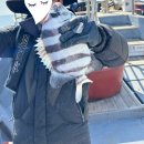 고흥-2호 | [조행기] 고흥 녹동항 돌돔 덜덜이 낚시, 대박 났던 출조 후기 (스페셜드림2호)(3월 16일)