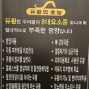 순천만유황민물장어 | 김해 장유 장어맛집 ‘황당한민물장어’ 몸보신 제대로 하고 온 후기