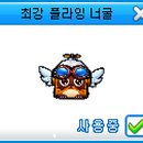 플라잉펫 이미지