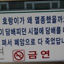현해탄횟집 이미지