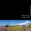 모든가능성