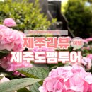 UR(서귀포시)-[남조로]-상-7 | 제주리뷰 팸투어 2박 3일 제주도팸투어 여행후기