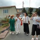 남해-225 이미지