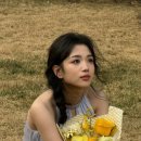 다이루