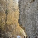 소통의 조화 이미지