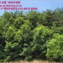 장고항3리 마을회관 이미지