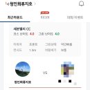 인코스스크린 네이버블로그