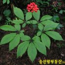 송산왕공인중개사사무소 이미지