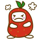 뚜레쥬르거제 이미지