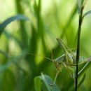 농업기술센터(별관) 이미지