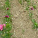 각남우체국 이미지