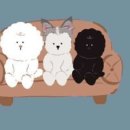 형제 농장 이미지