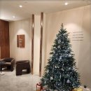 얼굴본성형외과의원 이미지