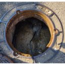 오리랑추어랑 이미지