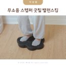 주식회사 아이테크 | 무소음 에어 스텝퍼 홈트 운동기구 굿필 밸런스킹 가정용 스텝퍼 사용후기