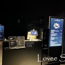아르떼 티(Arte tea) 이미지