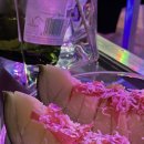 로멘틱유스(Romantic youth) 이미지