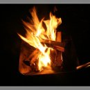 모실농장 이미지