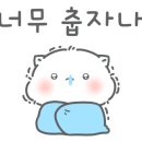 혼목쌀롱 이미지