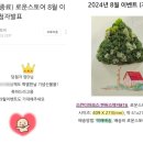 로운스토어