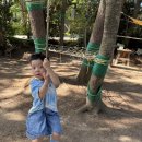 7월4주 숲 놀이터&amp;자유여행(항공우주박물관) 이미지