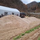 마사토 25톤 복토 이미지