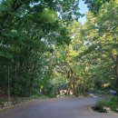 다음 그리고 이음 이미지