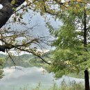 선암호수공원축구장 | 울산 가을 가볼만한곳 선암호수공원 꽃무릇