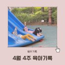 우산 어린이집 | 4월 4주 가정보육 일상 기록(어린이 UFO 우산, 강화 화개정원)
