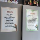 리프패럿진해점 | [앵무새 카페] 진해 리프패럿_여름에 아이들 데리고 시원한 곳에 놀러가고 싶다면..? #내돈내산