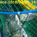 해성펜션 이미지