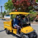 파파 모터스 이미지