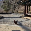 king노래연습장 이미지