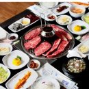 대한민국의원
