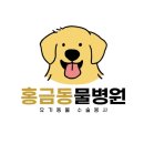 홍금동물병원 | 강서구 등촌동 동물병원 홍금동물병원 진료시간 접근성 이용후기