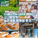 고고팜 | 도시에서 벗어나 농촌을 체험하는 고고팜창원 농촌체험 팜투어 후기